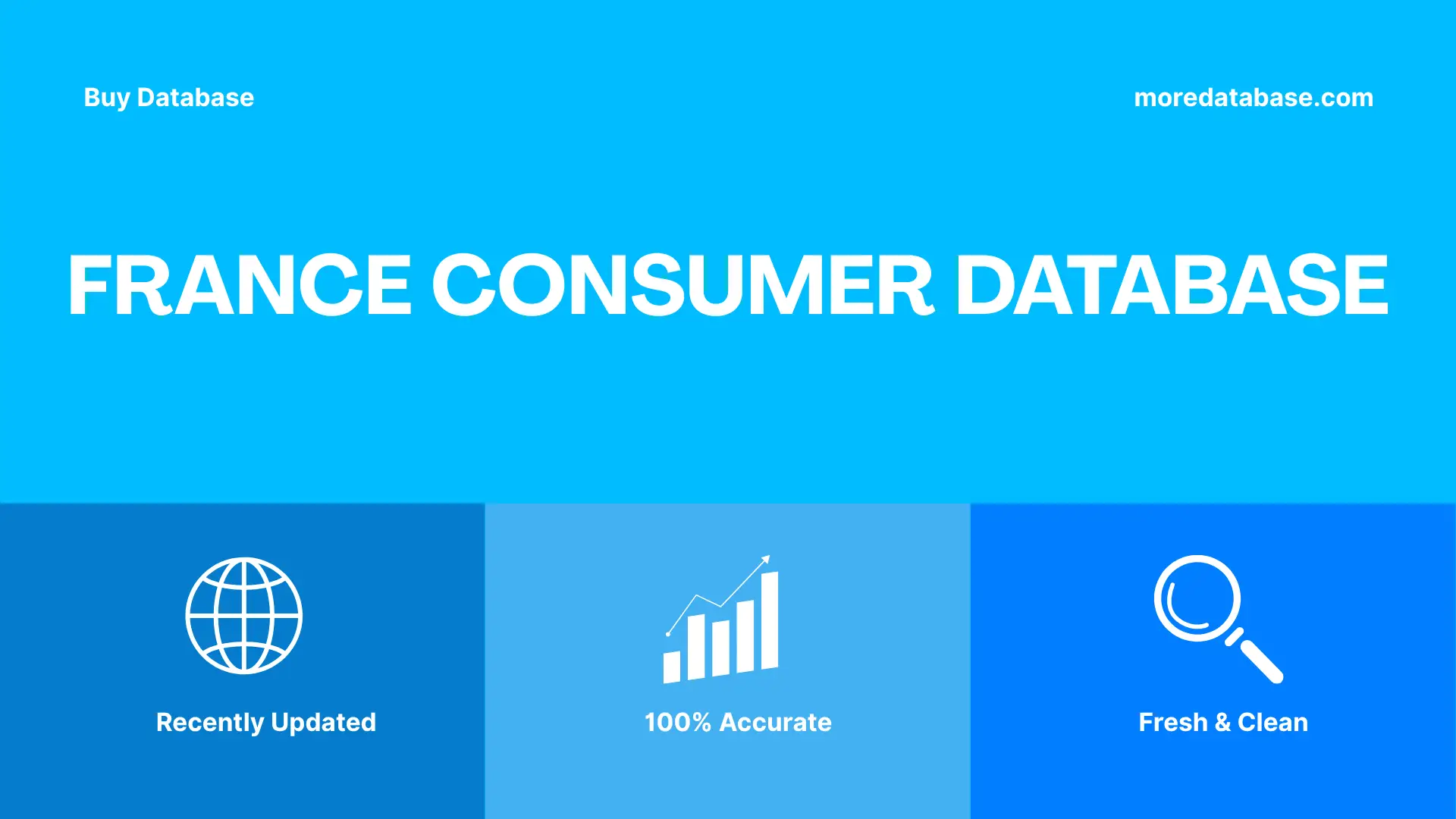 France Consumer Database